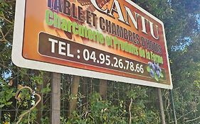 Ferme Auberge U Cantu d'Adelio